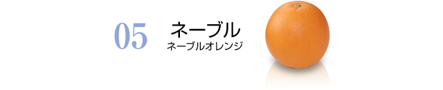 ネーブルオレンジ