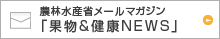 �ʕ������NNEWS
