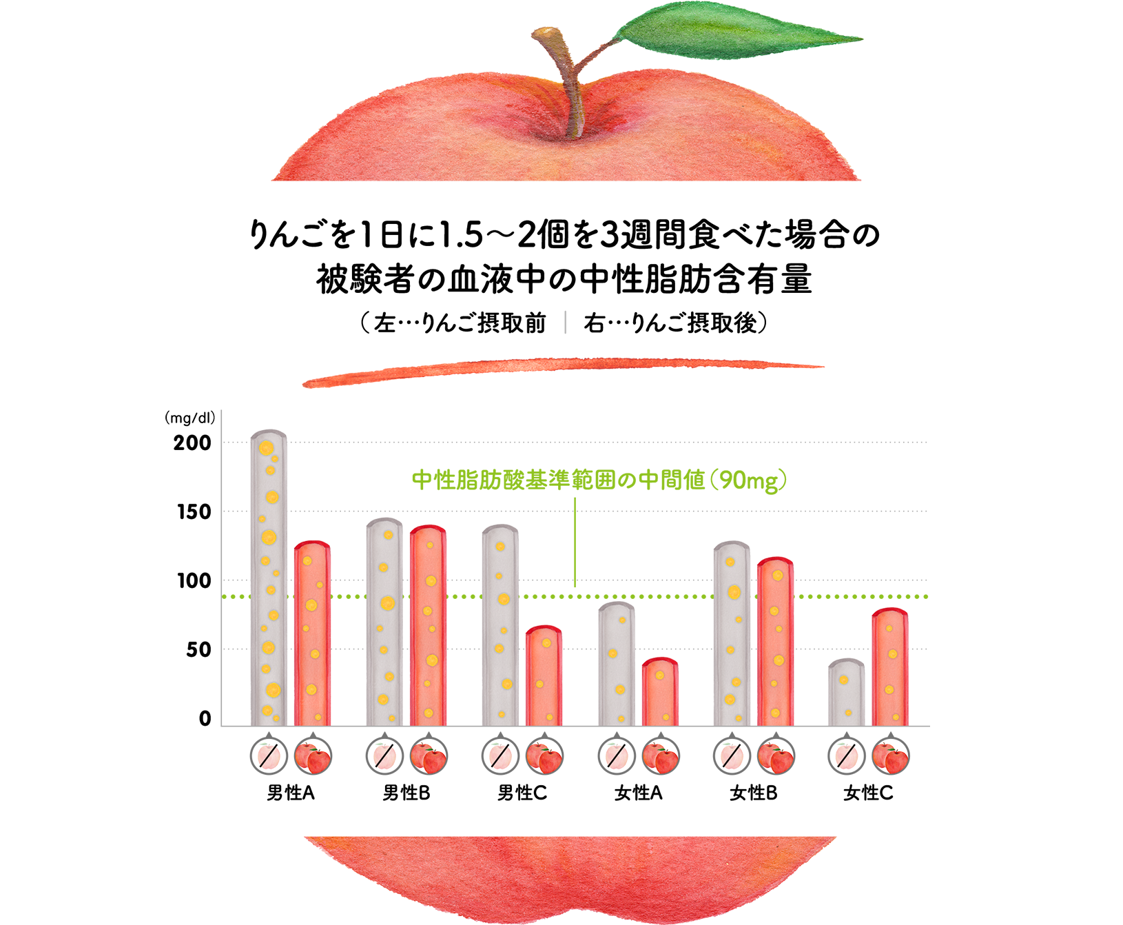 りんごを1日に1.5〜2個を3週間食べた場合の被験者の血液中の中性脂肪含有量