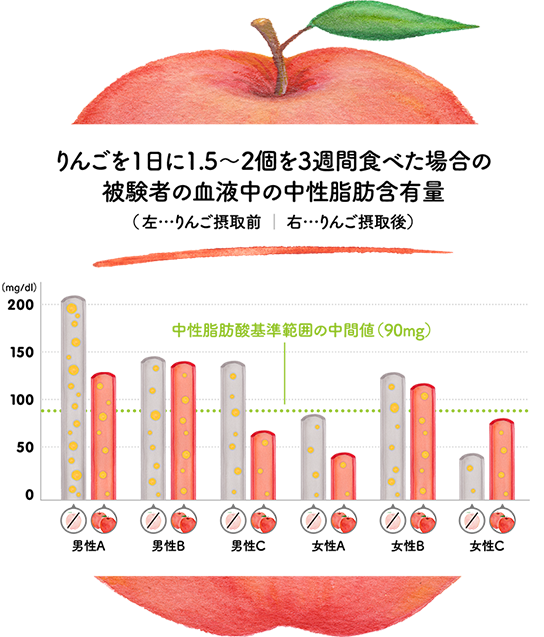 りんごを1日に1.5〜2個を3週間食べた場合の被験者の血液中の中性脂肪含有量
