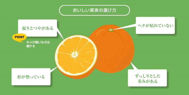 ネーブルオレンジ 旬 選び方 果物ではじめる健康生活 毎日くだもの0グラム